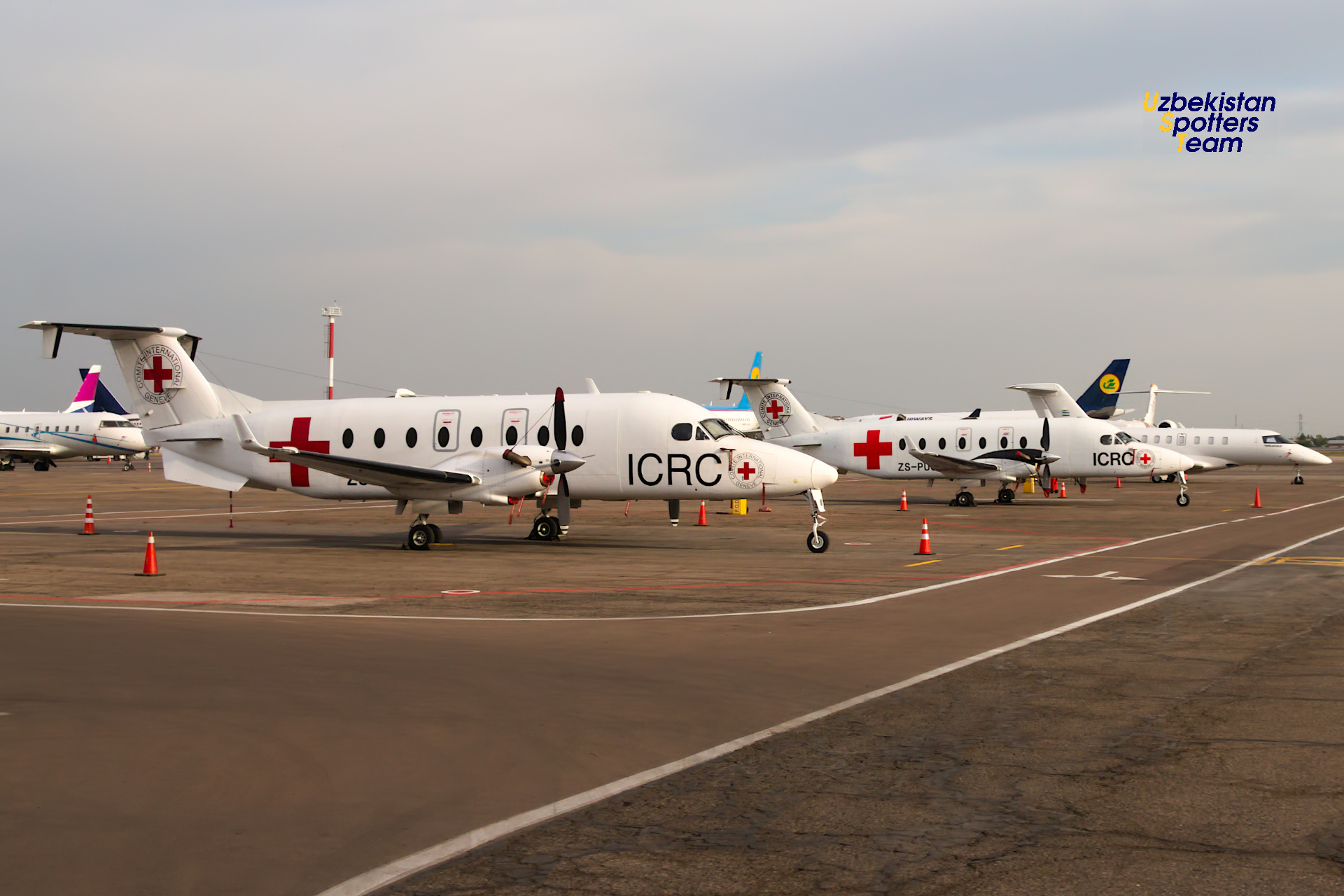 Toshkent aeroportida bahorgi spotting