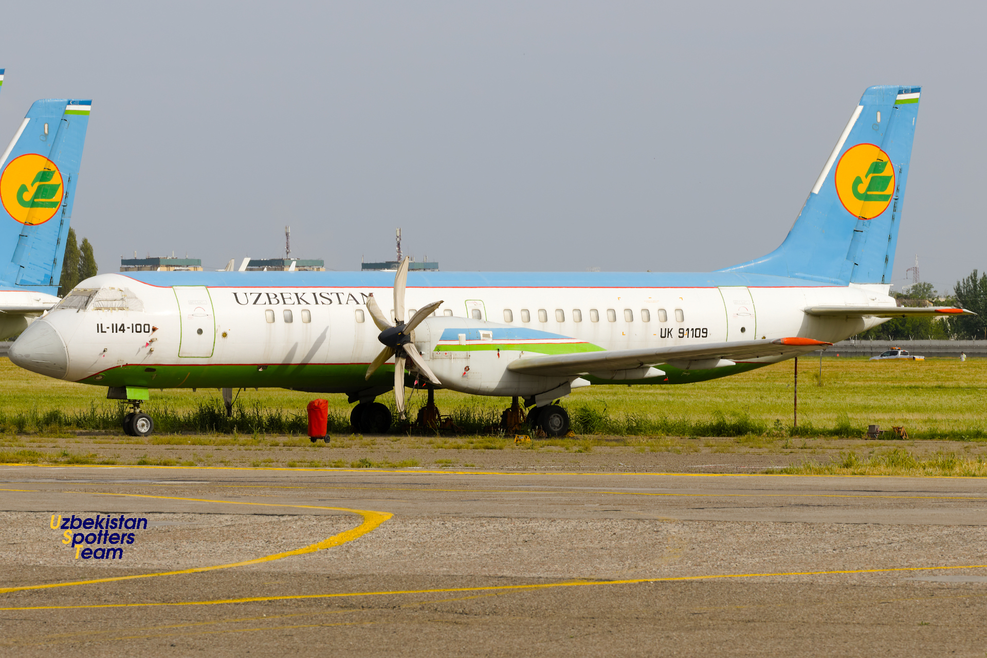 Toshkent aeroportida bahorgi spotting
